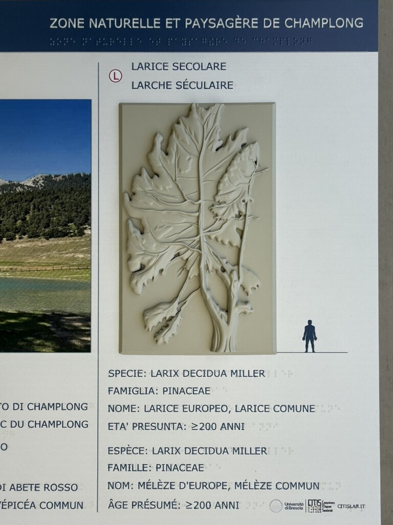 Dettaglio del bassorilievo del pannello visuo-tattile installato presso Champlong - Verrayes