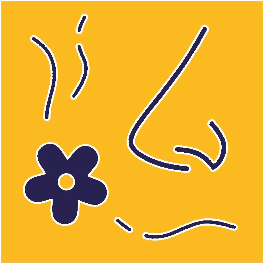 Logo simbolico che rappresenta l'esperienza dell'olfatto